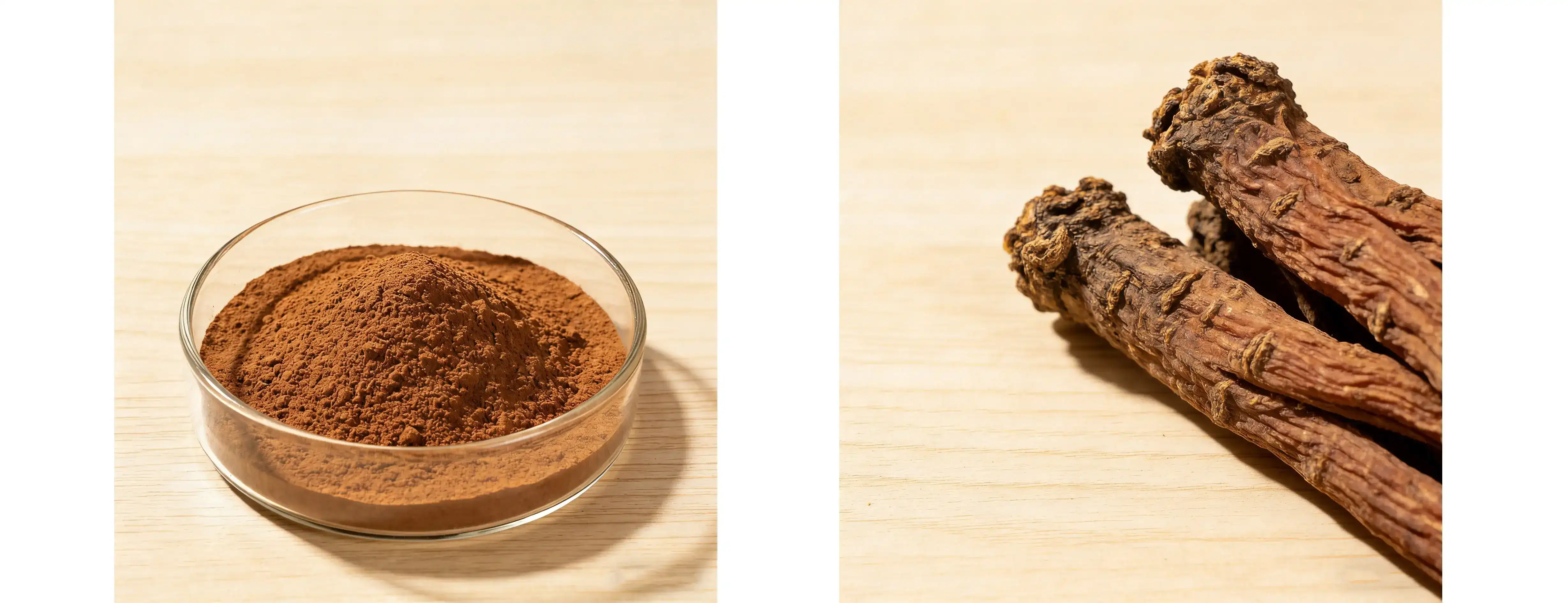 Dan Shen Root Extract Dan Shen Root Extract