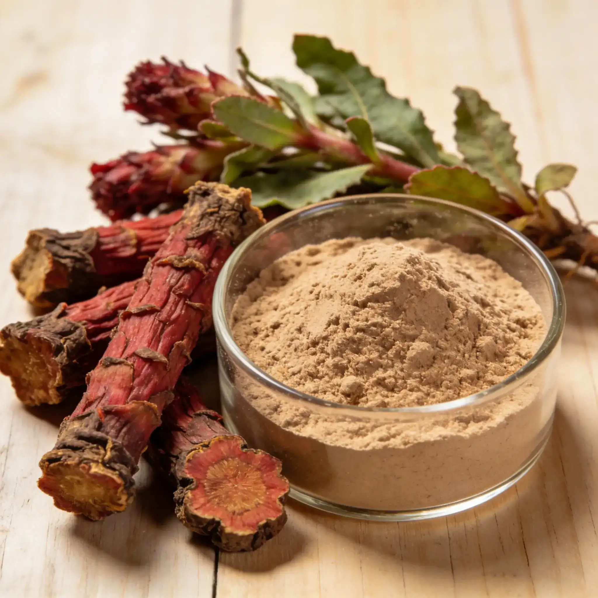 Roseroot extract (Rhodiola rosea) for stress & exhaustion