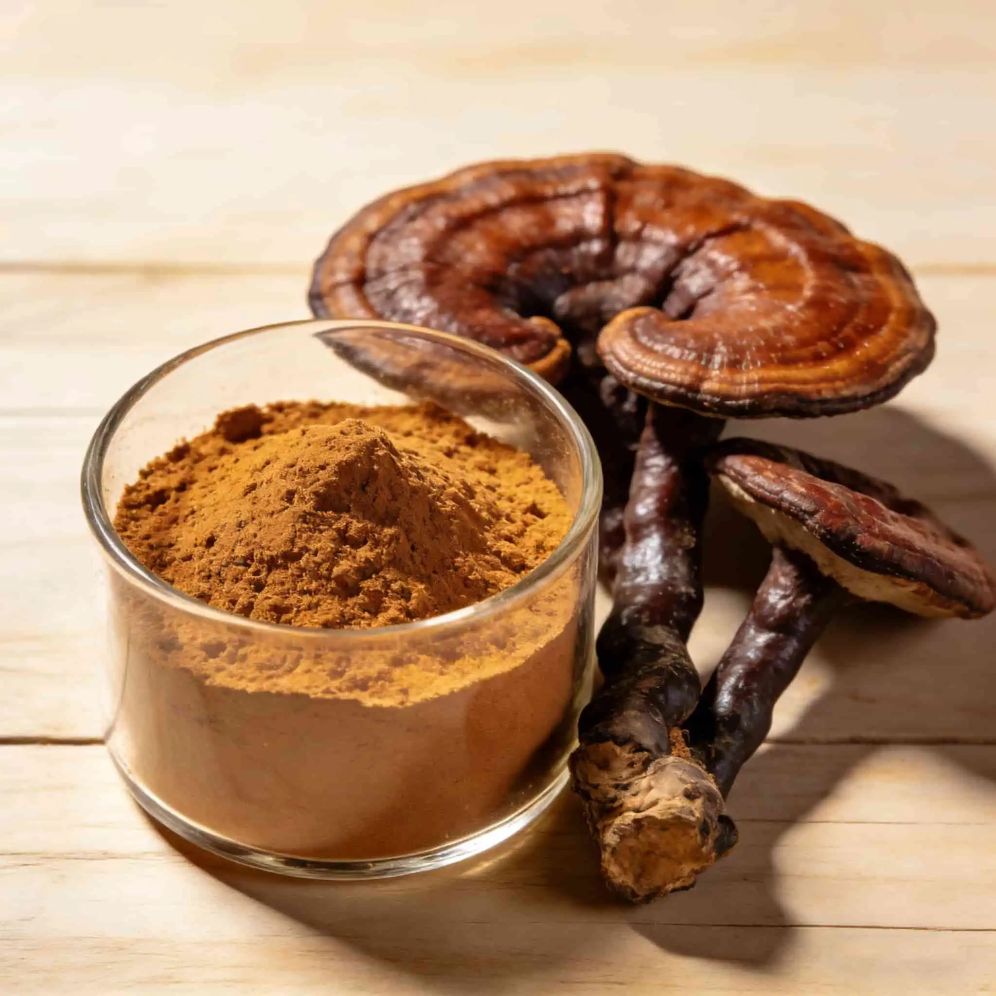 Reishi Extract Guide: Stress Relief & Immunity