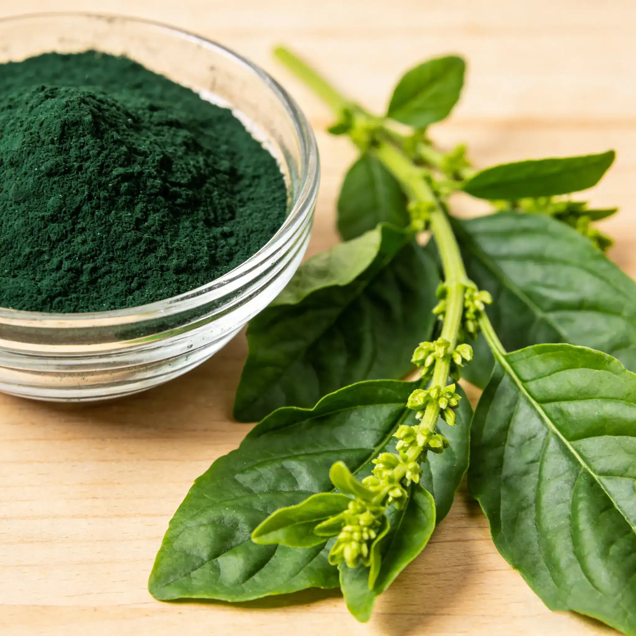 What is sodium copper chlorophyllin？