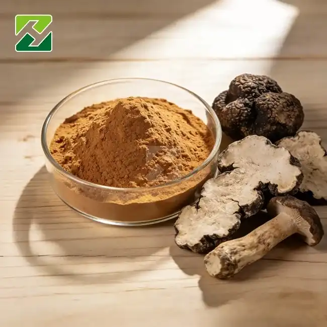 Polyporus extract, powder and capsules for companies Polyporus extract, powder and capsules for companies