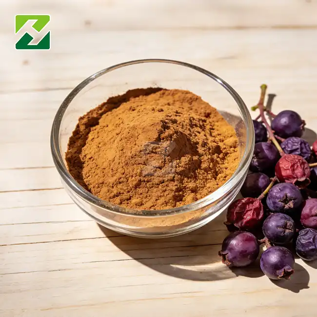 Chaste Berry Extract Powder for Perimenopause: Benefits, Dosage & Safety