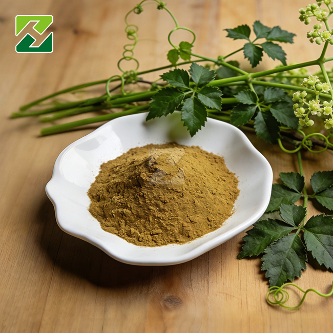 Gynostemma Pentaphyllum Extract Poda Gynostemma Pentaphyllum Extract Poda
